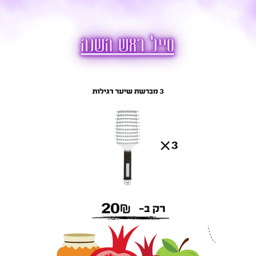 3 מברשת שיער רגילות